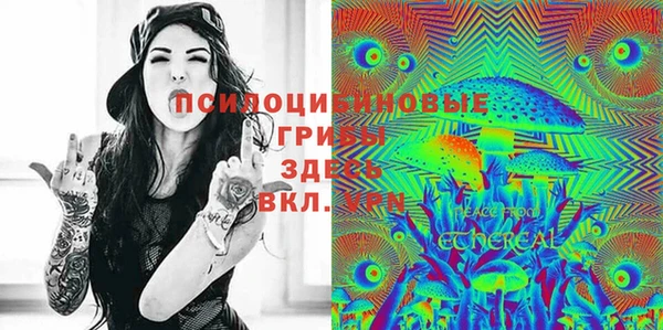 гашиш Богородицк
